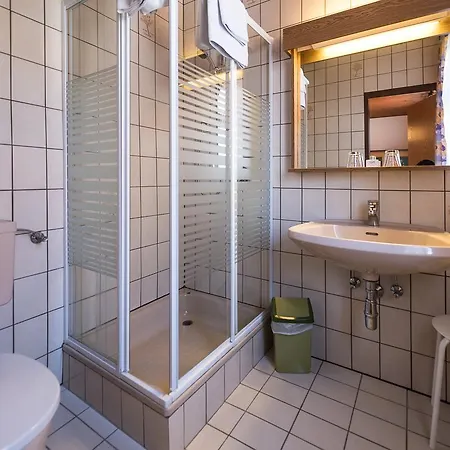 Πανσιόν Zum Hirschen 3*