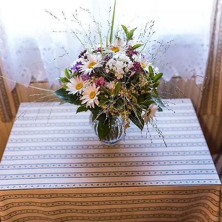 Zum Hirschen Πανσιόν Burgau