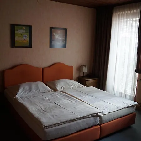 Zum Hirschen Πανσιόν 3*