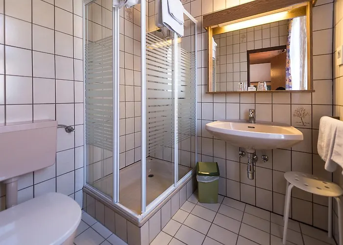 招待所 Zum Hirschen 3*