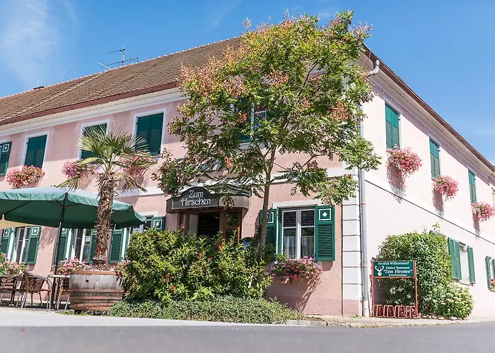 Zum Hirschen 招待所