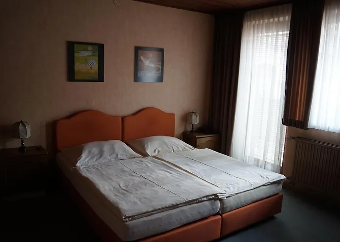 Zum Hirschen بيت ضيافة 3*